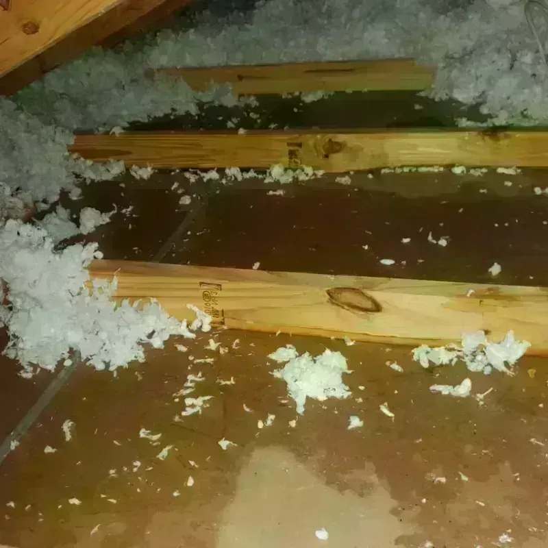 Attic Water Damage in Rosamond, CA